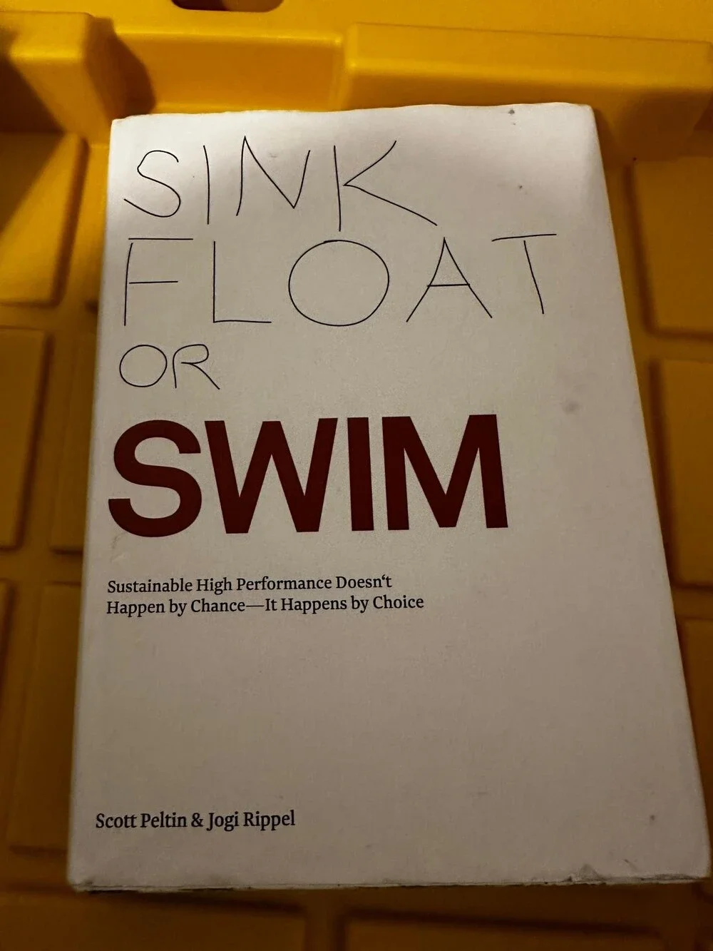 SINK FLOAT OR SWIM Sustainable High Performance Doesn't Happen by Chance 2009 HC